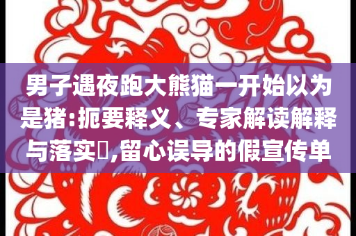 男子遇夜跑大熊貓一開始以為是豬:扼要釋義、專家解讀解釋與落實(shí)?,留心誤導(dǎo)的假宣傳單