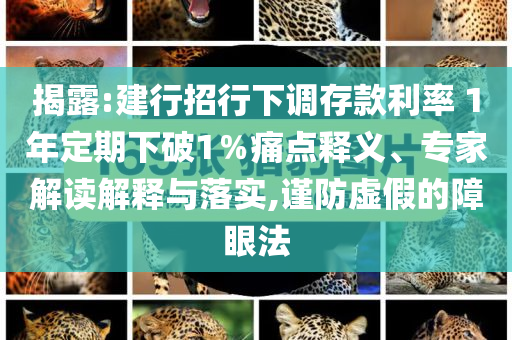 揭露:建行招行下調(diào)存款利率 1年定期下破1％痛點(diǎn)釋義、專家解讀解釋與落實(shí),謹(jǐn)防虛假的障眼法