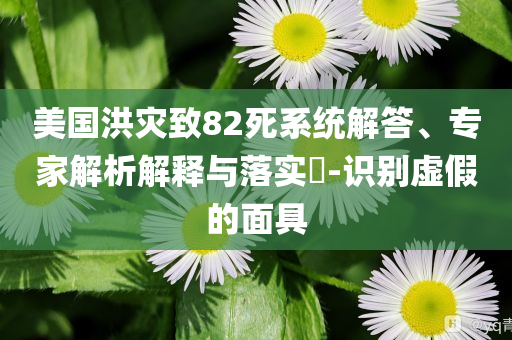 美國洪災(zāi)致82死系統(tǒng)解答、專家解析解釋與落實?-識別虛假的面具