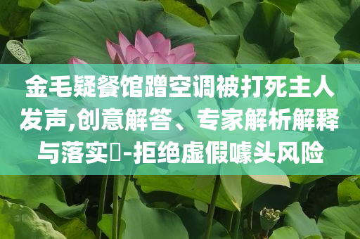 金毛疑餐館蹭空調(diào)被打死主人發(fā)聲,創(chuàng)意解答、專家解析解釋與落實(shí)?-拒絕虛假噱頭風(fēng)險(xiǎn)