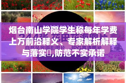 煙臺南山學院學生稱每年學費上萬前沿釋義、專家解析解釋與落實?,防范不實承諾