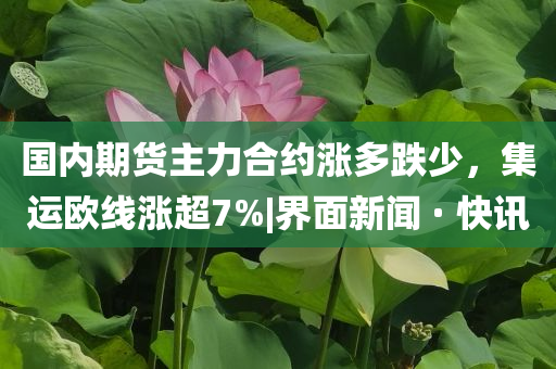 國(guó)內(nèi)期貨主力合約漲多跌少，集運(yùn)歐線漲超7%|界面新聞 · 快訊