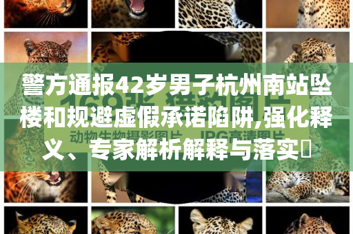 警方通報42歲男子杭州南站墜樓和規(guī)避虛假承諾陷阱,強化釋義、專家解析解釋與落實?