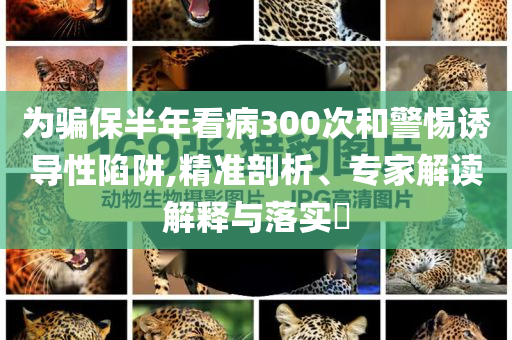 為騙保半年看病300次和警惕誘導(dǎo)性陷阱,精準(zhǔn)剖析、專家解讀解釋與落實(shí)?