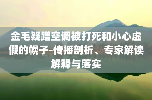 金毛疑蹭空調(diào)被打死和小心虛假的幌子-傳播剖析、專家解讀解釋與落實(shí)