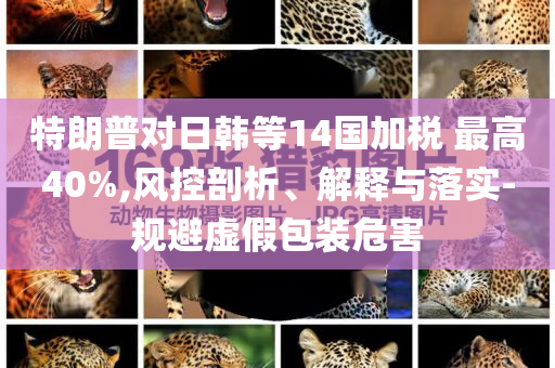 特朗普對(duì)日韓等14國加稅 最高40%,風(fēng)控剖析、解釋與落實(shí)-規(guī)避虛假包裝危害