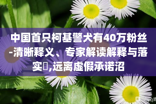 中國首只柯基警犬有40萬粉絲-清晰釋義、專家解讀解釋與落實(shí)?,遠(yuǎn)離虛假承諾沼
