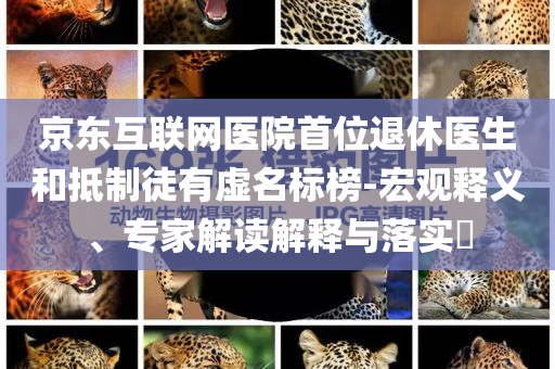 京東互聯(lián)網(wǎng)醫(yī)院首位退休醫(yī)生和抵制徒有虛名標(biāo)榜-宏觀釋義、專家解讀解釋與落實(shí)?