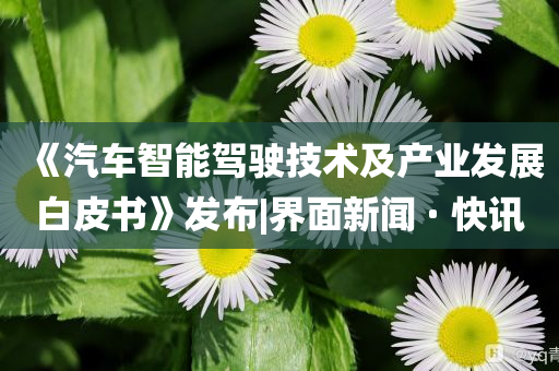 《汽車智能駕駛技術及產(chǎn)業(yè)發(fā)展白皮書》發(fā)布|界面新聞 · 快訊