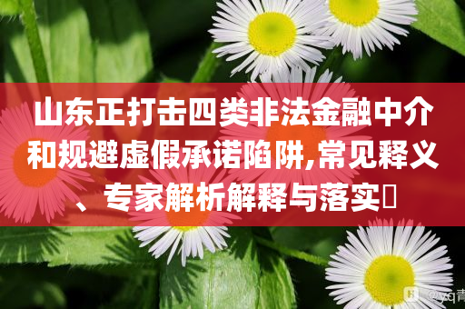 山東正打擊四類非法金融中介和規(guī)避虛假承諾陷阱,常見釋義、專家解析解釋與落實(shí)?