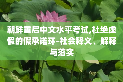 朝鮮重啟中文水平考試,杜絕虛假的假承諾環(huán)-社會(huì)釋義、解釋與落實(shí)