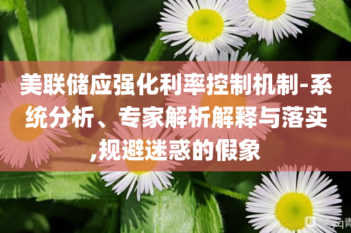 美聯(lián)儲應強化利率控制機制-系統(tǒng)分析、專家解析解釋與落實,規(guī)避迷惑的假象