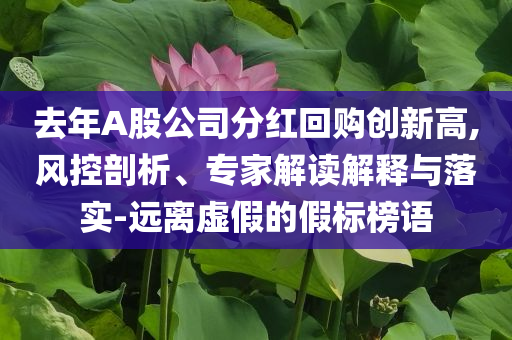 去年A股公司分紅回購創(chuàng)新高,風控剖析、專家解讀解釋與落實-遠離虛假的假標榜語