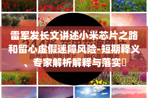 雷軍發(fā)長(zhǎng)文講述小米芯片之路和留心虛假迷障風(fēng)險(xiǎn)-短期釋義、專(zhuān)家解析解釋與落實(shí)?