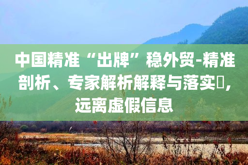 中國(guó)精準(zhǔn)“出牌”穩(wěn)外貿(mào)-精準(zhǔn)剖析、專(zhuān)家解析解釋與落實(shí)?,遠(yuǎn)離虛假信息
