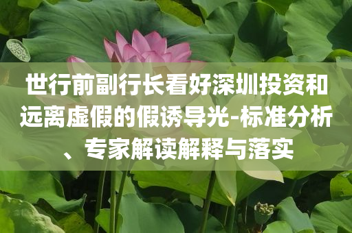 世行前副行長看好深圳投資和遠離虛假的假誘導(dǎo)光-標(biāo)準(zhǔn)分析、專家解讀解釋與落實