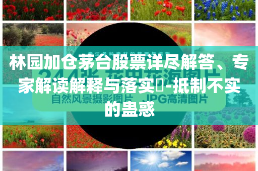 林園加倉(cāng)茅臺(tái)股票詳盡解答、專(zhuān)家解讀解釋與落實(shí)?-抵制不實(shí)的蠱惑