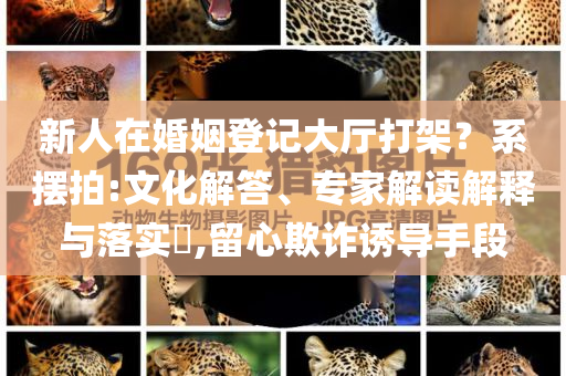 新人在婚姻登記大廳打架？系擺拍:文化解答、專家解讀解釋與落實(shí)?,留心欺詐誘導(dǎo)手段