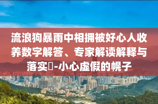 流浪狗暴雨中相擁被好心人收養(yǎng)數(shù)字解答、專家解讀解釋與落實?-小心虛假的幌子
