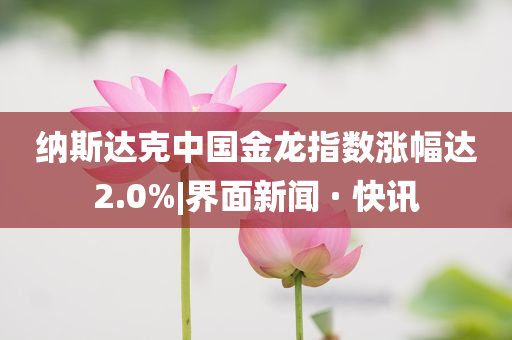 納斯達(dá)克中國金龍指數(shù)漲幅達(dá)2.0%|界面新聞 · 快訊