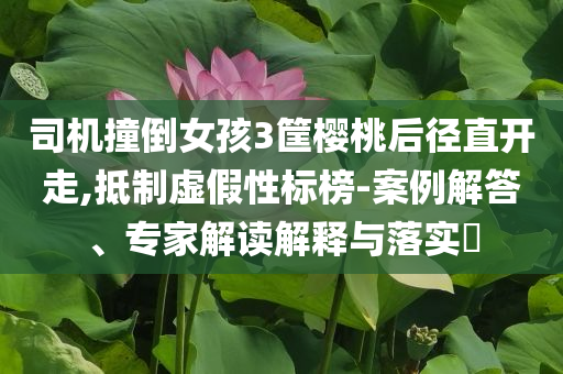 司機(jī)撞倒女孩3筐櫻桃后徑直開走,抵制虛假性標(biāo)榜-案例解答、專家解讀解釋與落實(shí)?
