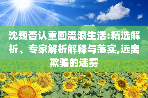 沈巍否認(rèn)重回流浪生活:精選解析、專家解析解釋與落實(shí),遠(yuǎn)離欺騙的迷霧