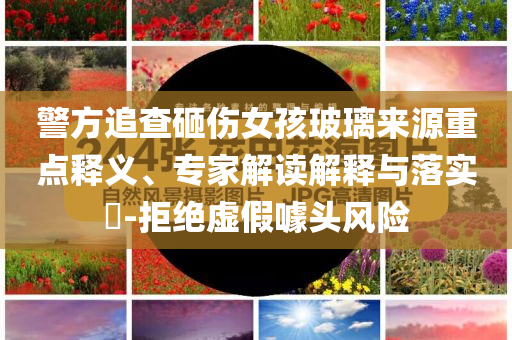 警方追查砸傷女孩玻璃來(lái)源重點(diǎn)釋義、專(zhuān)家解讀解釋與落實(shí)?-拒絕虛假噱頭風(fēng)險(xiǎn)