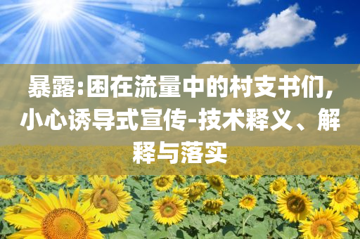 暴露:困在流量中的村支書們,小心誘導(dǎo)式宣傳-技術(shù)釋義、解釋與落實(shí)
