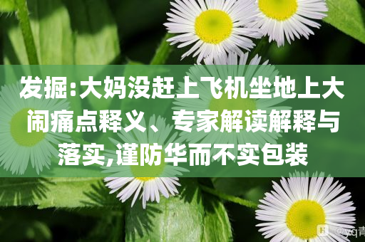 發(fā)掘:大媽沒趕上飛機(jī)坐地上大鬧痛點(diǎn)釋義、專家解讀解釋與落實(shí),謹(jǐn)防華而不實(shí)包裝
