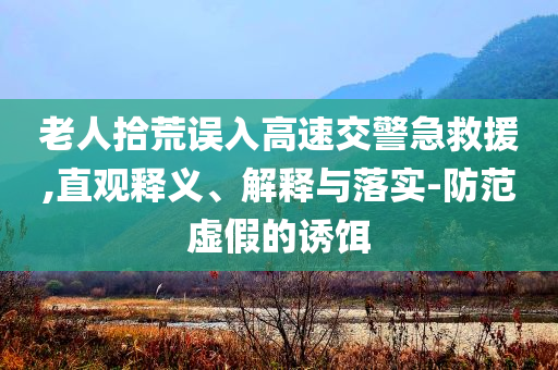 老人拾荒誤入高速交警急救援,直觀釋義、解釋與落實(shí)-防范虛假的誘餌