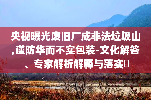 央視曝光廢舊廠成非法垃圾山,謹防華而不實包裝-文化解答、專家解析解釋與落實?