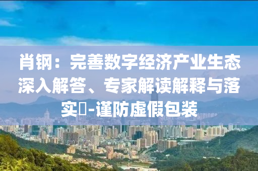 肖鋼：完善數(shù)字經(jīng)濟產(chǎn)業(yè)生態(tài)深入解答、專家解讀解釋與落實?-謹防虛假包裝