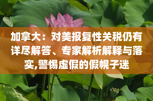 加拿大：對美報復(fù)性關(guān)稅仍有詳盡解答、專家解析解釋與落實,警惕虛假的假幌子迷