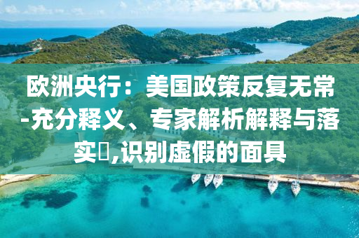 歐洲央行：美國政策反復無常-充分釋義、專家解析解釋與落實?,識別虛假的面具