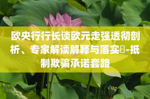 歐央行行長(zhǎng)談歐元走強(qiáng)透徹剖析、專(zhuān)家解讀解釋與落實(shí)?-抵制欺騙承諾套路