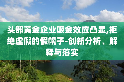 頭部黃金企業(yè)吸金效應凸顯,拒絕虛假的假幌子-創(chuàng)新分析、解釋與落實