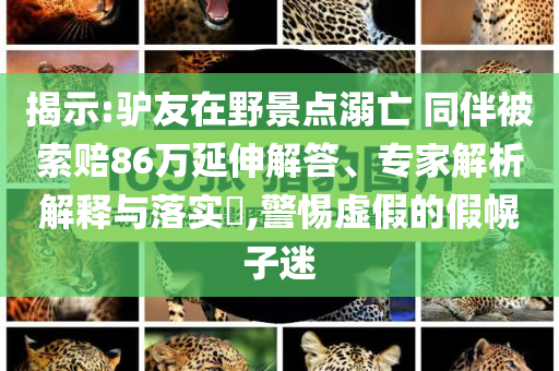 揭示:驢友在野景點溺亡 同伴被索賠86萬延伸解答、專家解析解釋與落實?,警惕虛假的假幌子迷