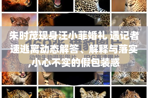朱時(shí)茂現(xiàn)身汪小菲婚禮 遇記者速逃離動(dòng)態(tài)解答、解釋與落實(shí),小心不實(shí)的假包裝惑