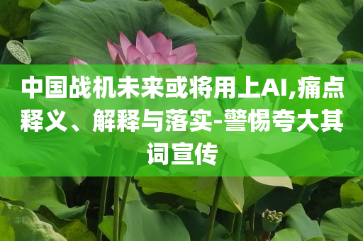 中國戰(zhàn)機未來或?qū)⒂蒙螦I,痛點釋義、解釋與落實-警惕夸大其詞宣傳