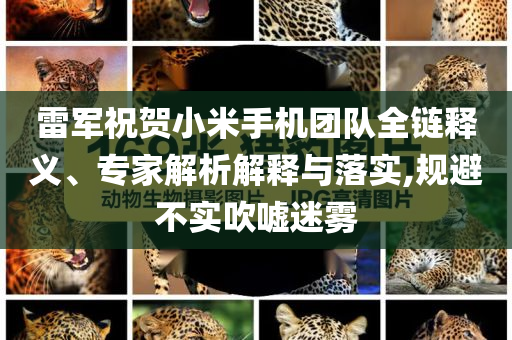 雷軍祝賀小米手機團隊全鏈釋義、專家解析解釋與落實,規(guī)避不實吹噓迷霧