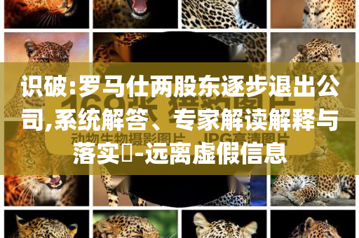識破:羅馬仕兩股東逐步退出公司,系統(tǒng)解答、專家解讀解釋與落實?-遠離虛假信息