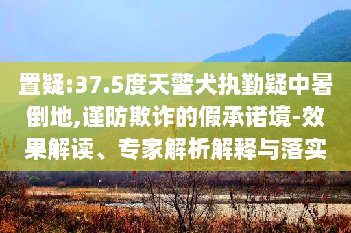 置疑:37.5度天警犬執(zhí)勤疑中暑倒地,謹防欺詐的假承諾境-效果解讀、專家解析解釋與落實