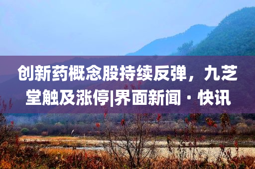 創(chuàng)新藥概念股持續(xù)反彈，九芝堂觸及漲停|界面新聞 · 快訊