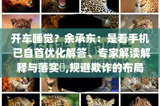 開車睡覺？余承東：是看手機(jī) 已自首優(yōu)化解答、專家解讀解釋與落實(shí)?,規(guī)避欺詐的布局