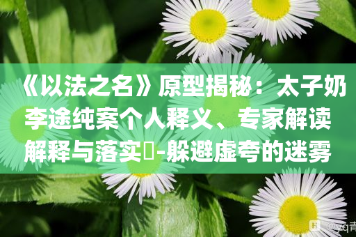 《以法之名》原型揭秘：太子奶李途純案?jìng)€(gè)人釋義、專家解讀解釋與落實(shí)?-躲避虛夸的迷霧