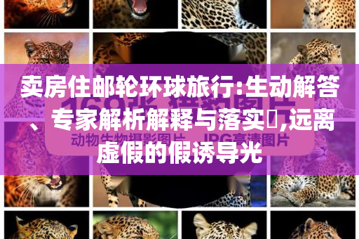 賣房住郵輪環(huán)球旅行:生動解答、專家解析解釋與落實?,遠(yuǎn)離虛假的假誘導(dǎo)光