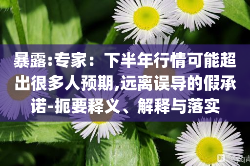 暴露:專家：下半年行情可能超出很多人預(yù)期,遠(yuǎn)離誤導(dǎo)的假承諾-扼要釋義、解釋與落實(shí)