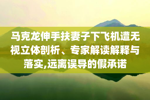 馬克龍伸手扶妻子下飛機遭無視立體剖析、專家解讀解釋與落實,遠離誤導的假承諾