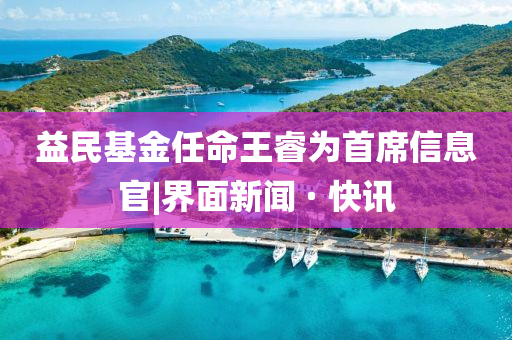 益民基金任命王睿為首席信息官|(zhì)界面新聞 · 快訊