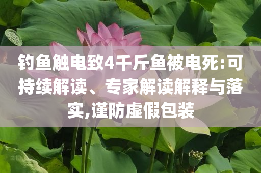 釣魚觸電致4千斤魚被電死:可持續(xù)解讀、專家解讀解釋與落實,謹防虛假包裝